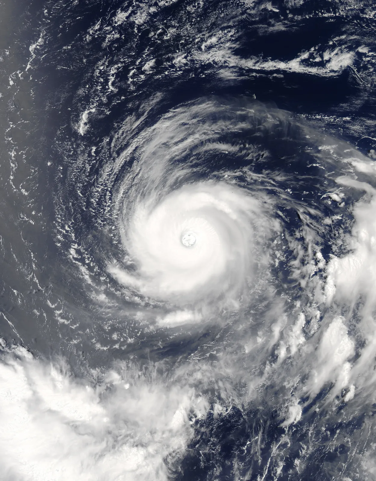 What Sets a Typhoon Apart from a Super Typhoon?